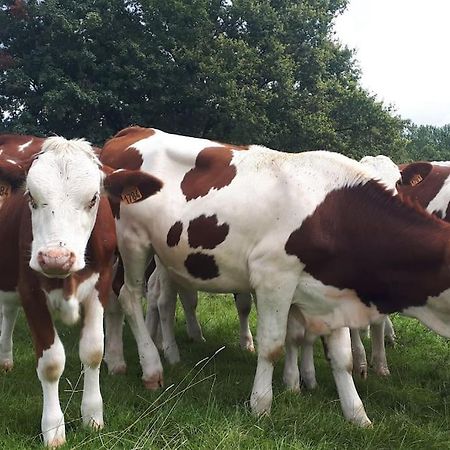 Gite A La Ferme, Avec Animaux, Fromages Et Nature Neuville-les-Decize Bagian luar foto