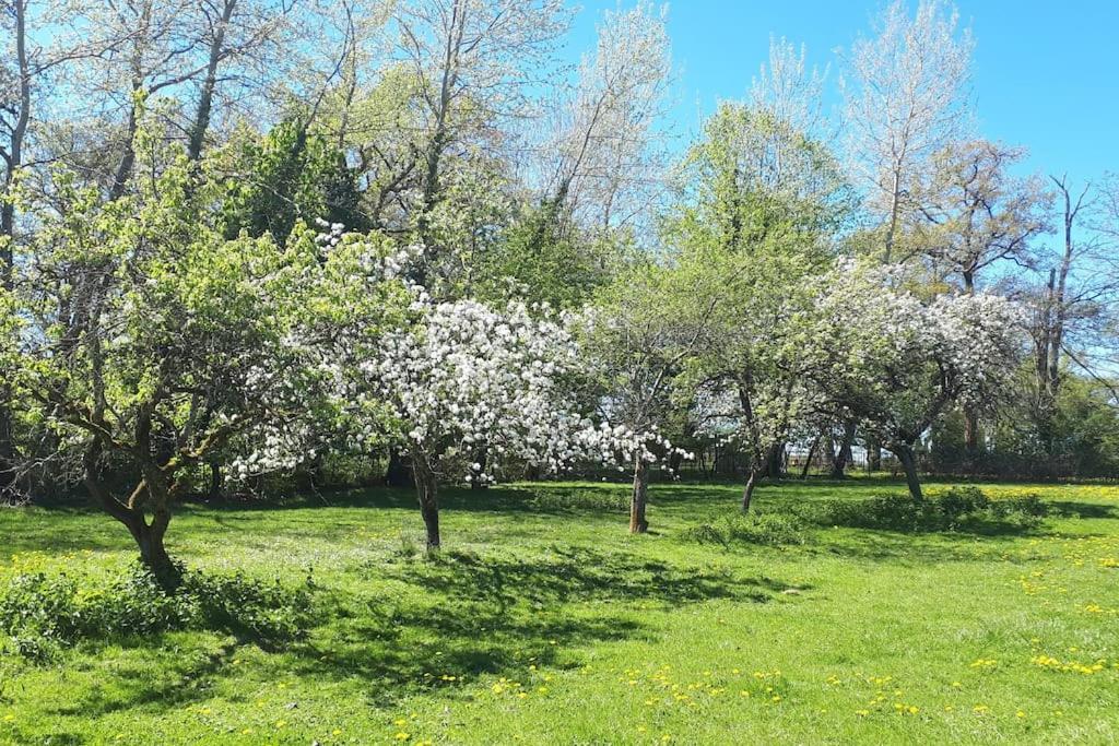 Gite A La Ferme, Avec Animaux, Fromages Et Nature Neuville-les-Decize Bagian luar foto